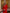 Beatrice Red Collarless Jacket Midi Skirt Two-Piece Suit