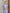 Fiamma Lavender Satin V-Neck Puff Sleeve Midi Dress