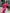 Aurora Crimson Puff Sleeve Satin Midi Dress