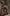 Fiamma Purple Satin V-Neck Slip Midi Dress