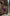 Fiamma Purple Satin V-Neck Slip Midi Dress