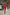 Adriana Red Long Sleeve V-Neck Midi Dress