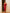 Giulia Bordeaux Off-The-Shoulder Bodycon Midi Dress