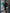 Aurora Green Cut-Out Neck Long Sleeve Midi Dress