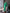 Aurora Green Cut-Out Neck Long Sleeve Midi Dress