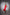 Francesca Red Backless Pencil Midi Dress