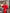 Aurora Red Puffed Sleeve Midi Prom Dress