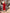 Aurora Red Puffed Sleeve Midi Prom Dress