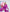 Beatrice Fuchsia Silk Long Sleeve Maxi Dress