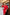 Beatrice Red Backless Puff Sleeve Midi Dress