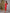 Beatrice Red Satin Puff-Sleeve Midi Dress