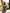 Chiara Mocca Satin Slip Maxi Dress