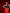 Adriana Red High Waist Slit Cuff Culottes