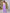 Adriana Lavender High Waist Fitted Palazzo Pants