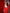 Adriana Red Belted Wide-Leg Suit Two-Piece