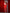 Adriana Red Belted Wide-Leg Suit Two-Piece