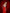 Adriana Red High Waist Wide-Leg Palazzo Pants