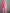 Adriana Crimson Shawl Lapel Two-Piece Suit
