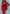 Adriana Red Shawl Lapel Two-Piece Suit