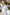 Adriana White V-Neck Puff-Sleeve Buttoned Midi Dress