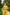Chiara Mustard Single-Breasted Wide-Leg Suit Two-Piece