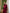 Aurora Bordeaux Satin Draped One-Shoulder Maxi Dress