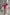 Beatrice Fuchsia Puff Sleeve Mini Prom Dress