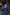 Adriana Blue Backless Puff Sleeve Crepe Midi Dress