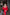 Adriana Red Backless Puff Sleeve Crepe Midi Dress