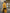 Ornella Mustard Belted Cotton Trench Coat