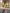 Ornella Mustard Belted Cotton Trench Coat