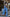 Adriana Sky-Blue Bow Top & Wide-Leg Pants Two-Piece Set