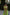 Adriana Green Bow Top & Wide-Leg Pants Two-Piece Set