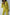 Green Crop Jacket Suit 2-Piece - Effortless Chic Style