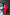 Adriana Red Backless Puff Sleeve Crepe Midi Dress