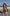 Adriana Brown Double-Breasted Belted Cotton Trench Coat