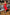 Adriana Red Satin Corseted Strapless Midi Dress