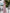 Adriana Dusty Pink Silk Wrap Maxi Dress
