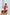 Adriana Crimson Silk Slip Mini Dress