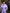 Adriana Lavender High Waist Fitted Palazzo Pants