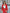 Aurora Red Wide-Lapel Single-Breasted Two-Piece Suit