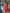 Fiamma Red Strapless Corseted Satin Mini Dress