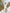 Aurora Beige Silk-Satin Puff Sleeve Belted Maxi Dress