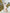 Aurora Beige Silk-Satin Puff Sleeve Belted Maxi Dress