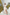 Aurora Beige Silk-Satin Puff Sleeve Belted Maxi Dress