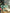 Adriana Green Thigh-Slit Maxi Dress