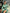 Adriana Green Thigh-Slit Maxi Dress