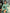 Adriana Green Thigh-Slit Maxi Dress