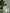 Adriana Green Thigh-Slit Maxi Dress