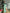 Adriana Green Thigh-Slit Maxi Dress